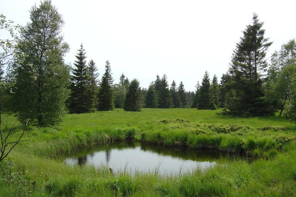 יאלהיי Holiday Home Gite Rural Cote Fagnes מראה חיצוני תמונה